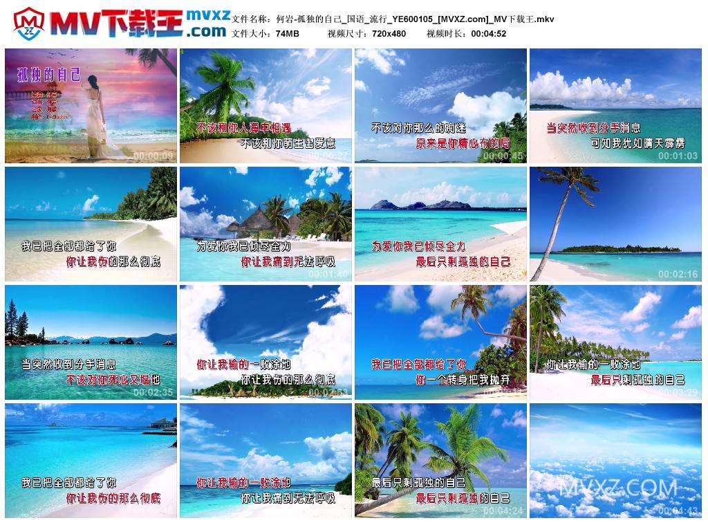 何岩-孤独的自己_国语_流行_YE600105